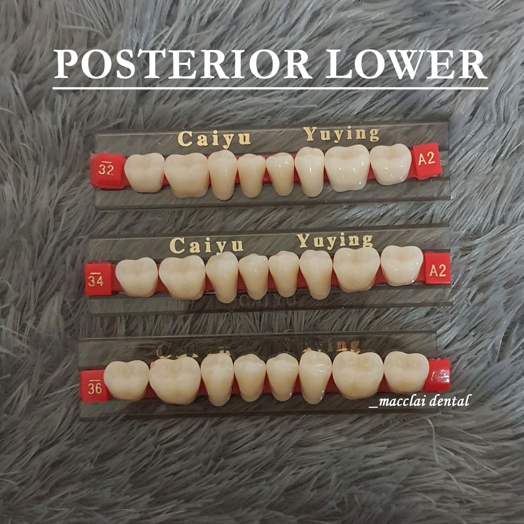 DENTAL GIGI PALSU BELAKANG BAWAH POSTERIOR LOWER