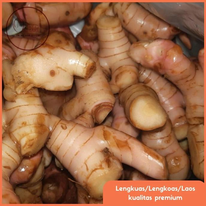 

PROMO Lengkuas Segar/Laos/Lengkoas - 1kg MURAH