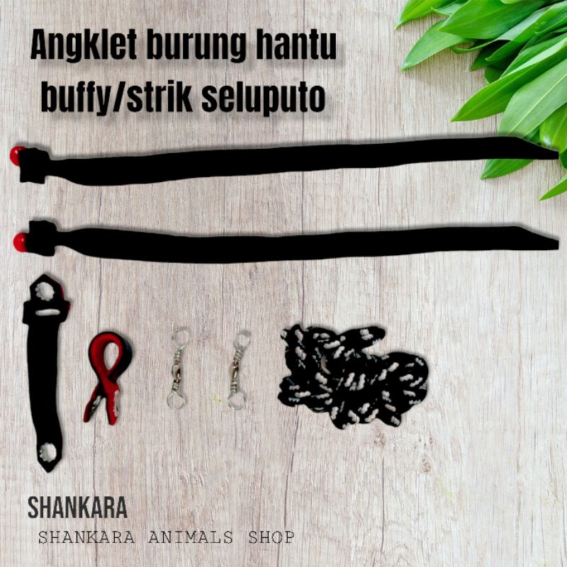 Angklet burung hantu buffy/strik seluputo
