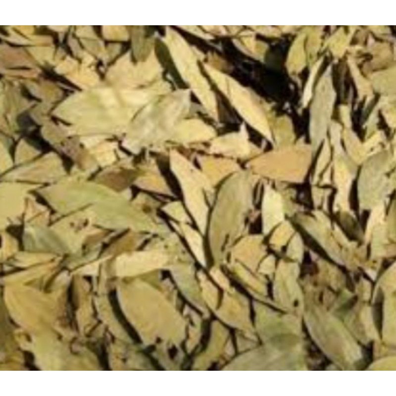 

Daun kayu manis 100gr