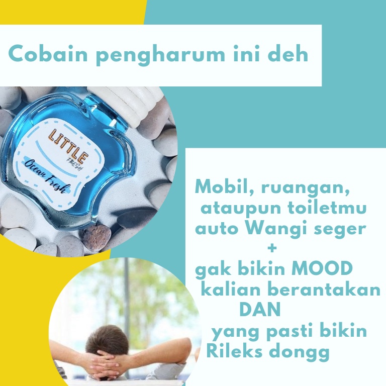 Little Fresh Pengharum Pewangi Mobil Parfum Parfume Farfum Parpum Mobil Gantung Aromaterapi Aromatherapy Mewah Tahan Lama Dan Wangi Enak Gantung Dashboard 10ml