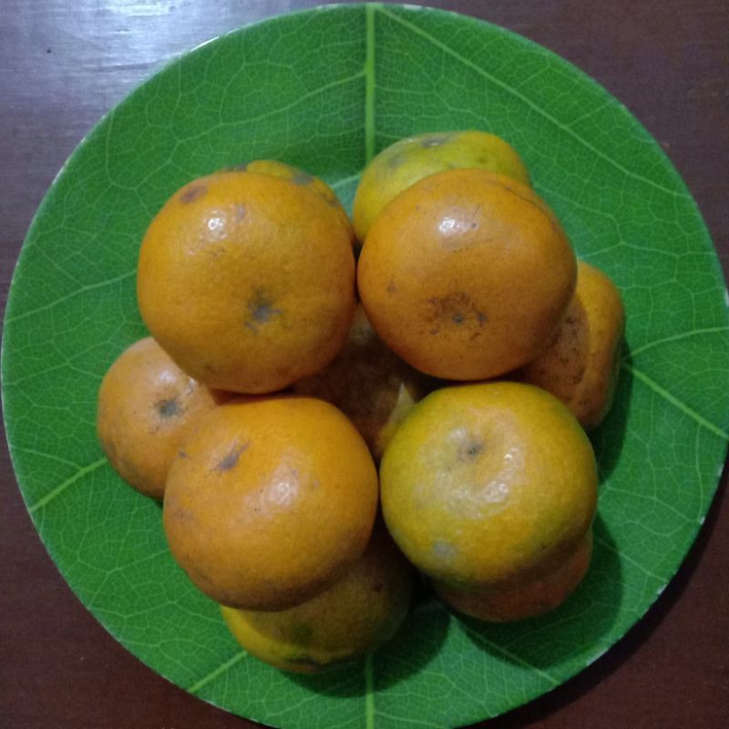

Jeruk Medan 1 kg
