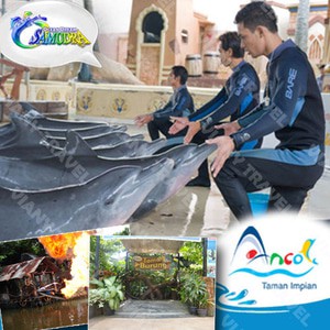 Tiket Ocean Dream Ancol (Gelanggang Samudra )