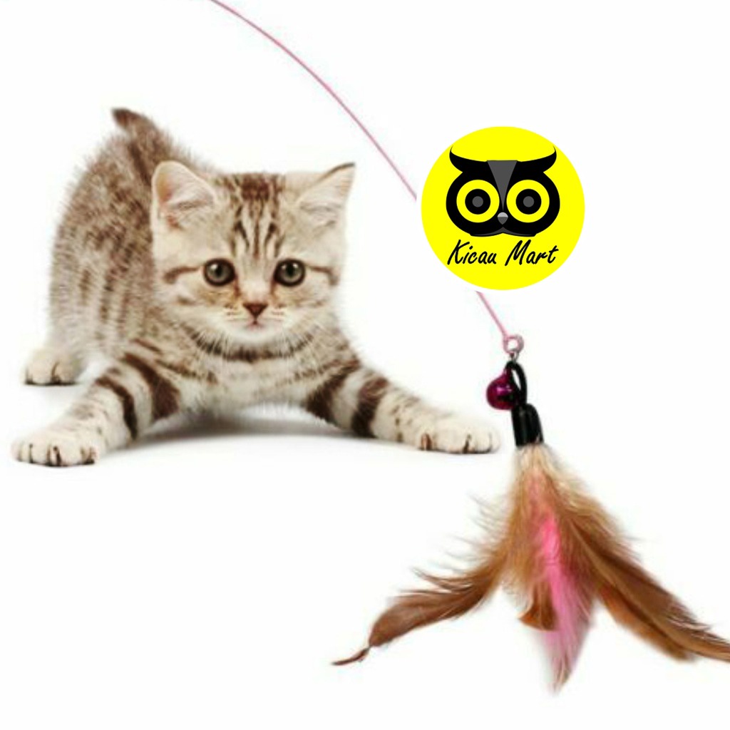 TONGKAT MAINAN KUCING KITTEN TALI BULU ROPE STIK MAINAN LATIH KUCING ANJING  JINAK LINCAH TONGKAT BULU STIK FIBER MAINAN KUCING STICK TOYS CAT TONGKAT TEASER LONCENG CTPJ