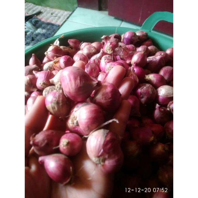

bawang Merah