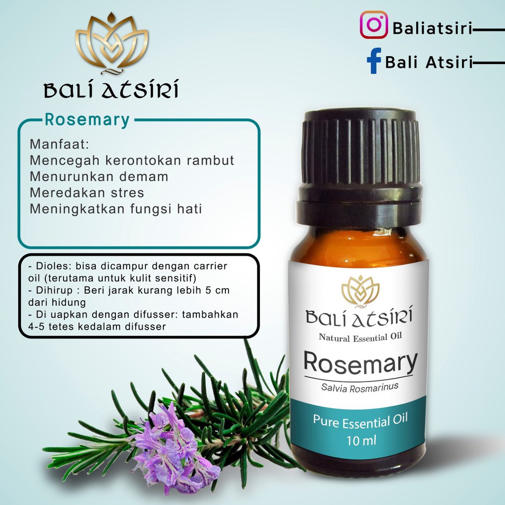 Bali Atsiri Rosemary Oil 10 Ml | Pure Rosemary Essential Oil 10 Ml ...