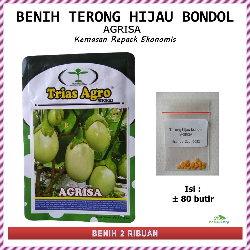 Bibit Biji Benih Terong Hijau Bondol AGRISA  Kemasan Repack  Benih Seribuan