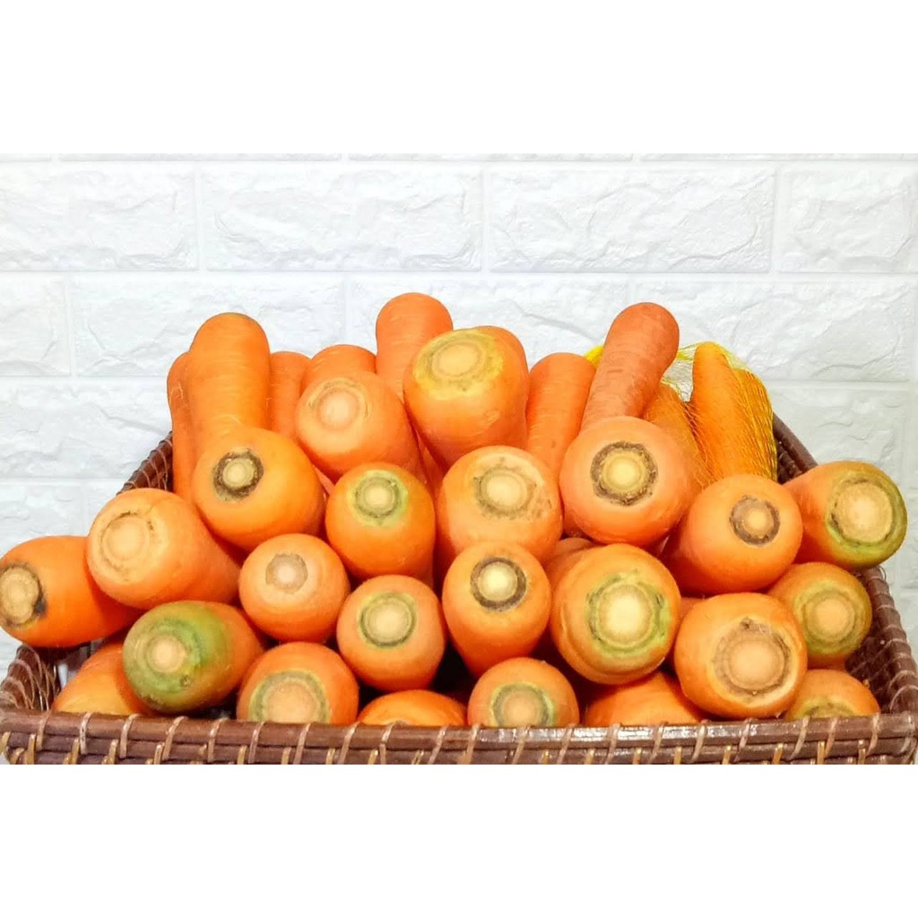 

WORTEL BRASTAGI FRUITIO JAKARTA