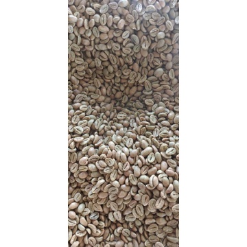 

Green Bean Petik Merah Pagar Alam