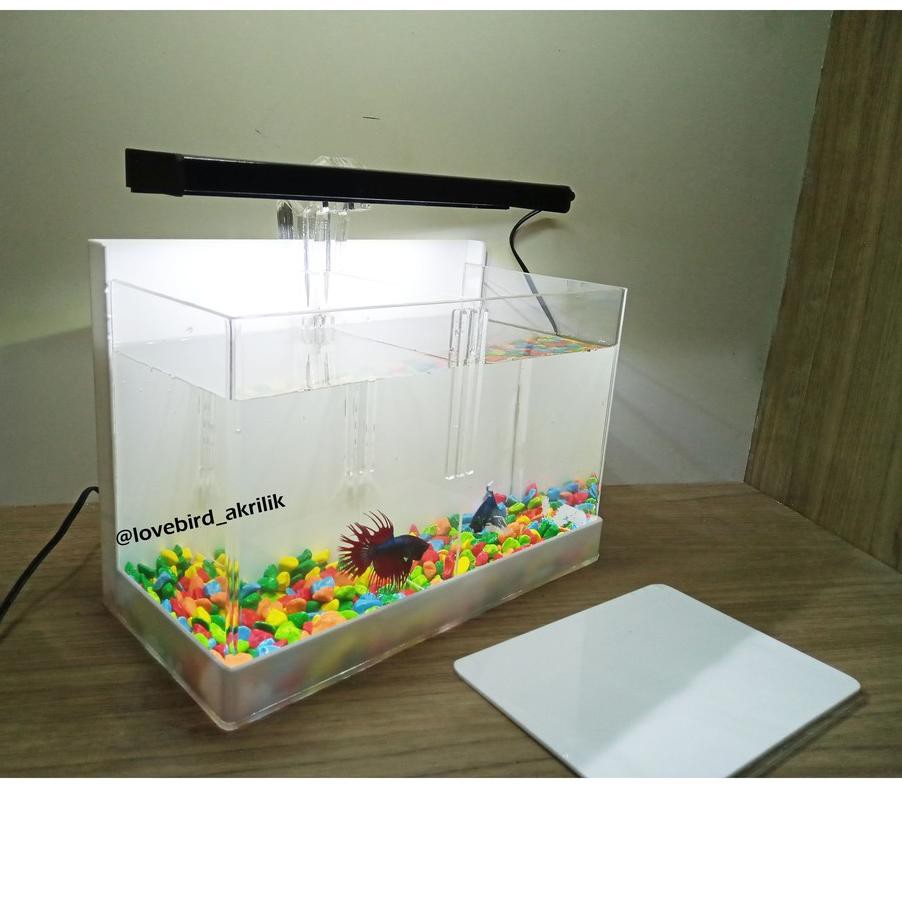 Termurah 236 Aquarium Mini Akrilik Aquarium Sekat Aquarium Cupang Soliter Cupang Aquarium Min Shopee Indonesia Aquarium akrilik buat cupang