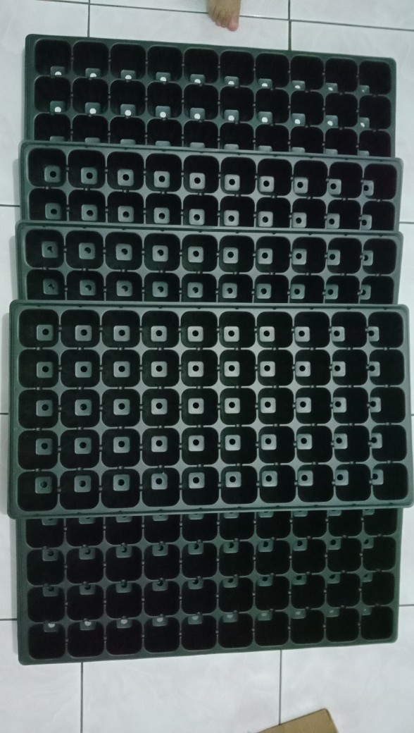 Tray Semai 50 Lubang Traypot Pot Seed Tray Biji Bibit Hidroponik - Isi Set 12 Pcs