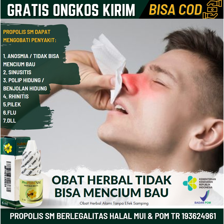 AMAN BPOM Obat Herbal Hidung Tidak Bisa Mencium Bau, Radang / Alergi Hidung, Anosmia, Propolis SM