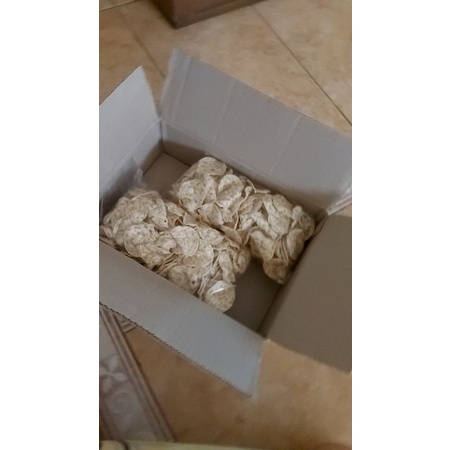 

keripik tempeh