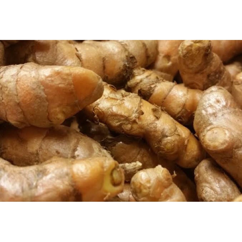 

kunyit segar 100 gram