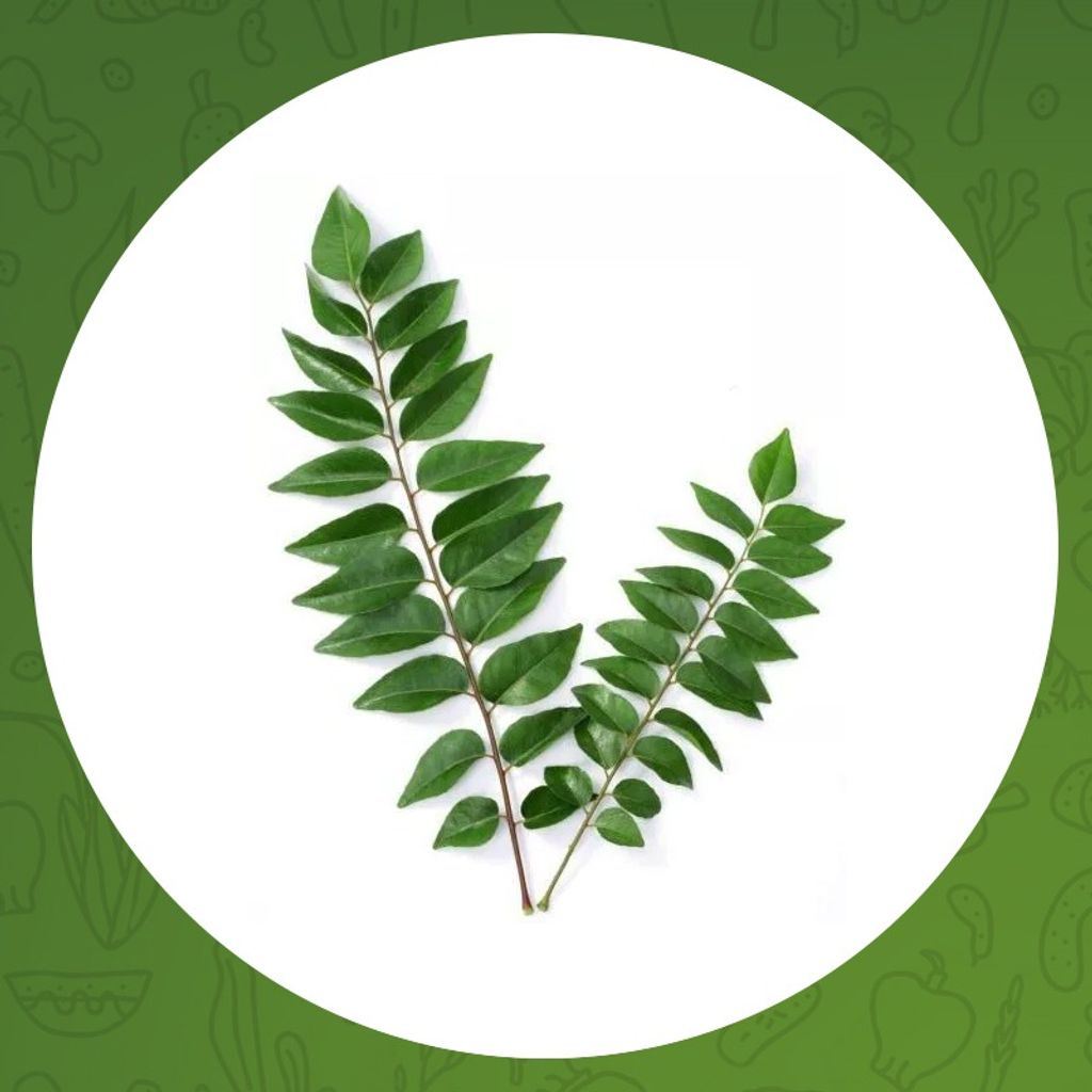 

DAUN KARE 1PCS