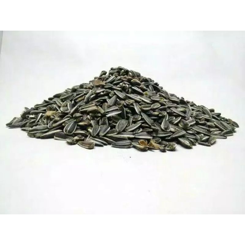 MAKANAN HAMSTER - KUACI KWACI HAMSTER-KUACI HITAM