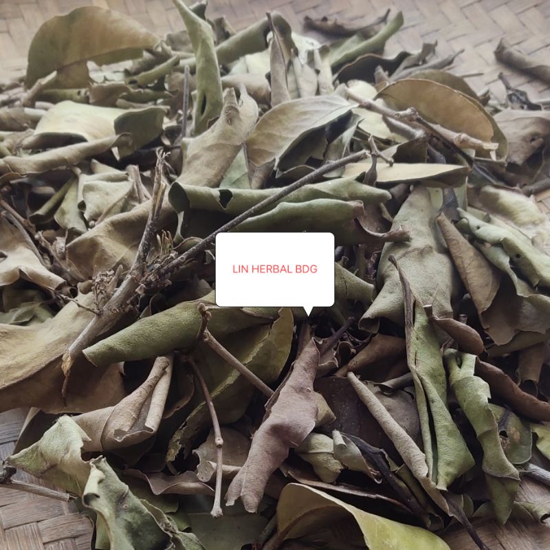 

Benalu Kering Pohon Alfukat - Teh Benalu Instan Kaya Manfaat 200 Grm