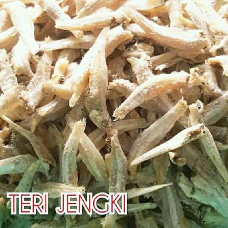 

TERI_JENGKI