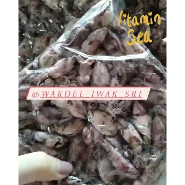 

Baby Cumi Mentah Wakoel Iwak Sri
