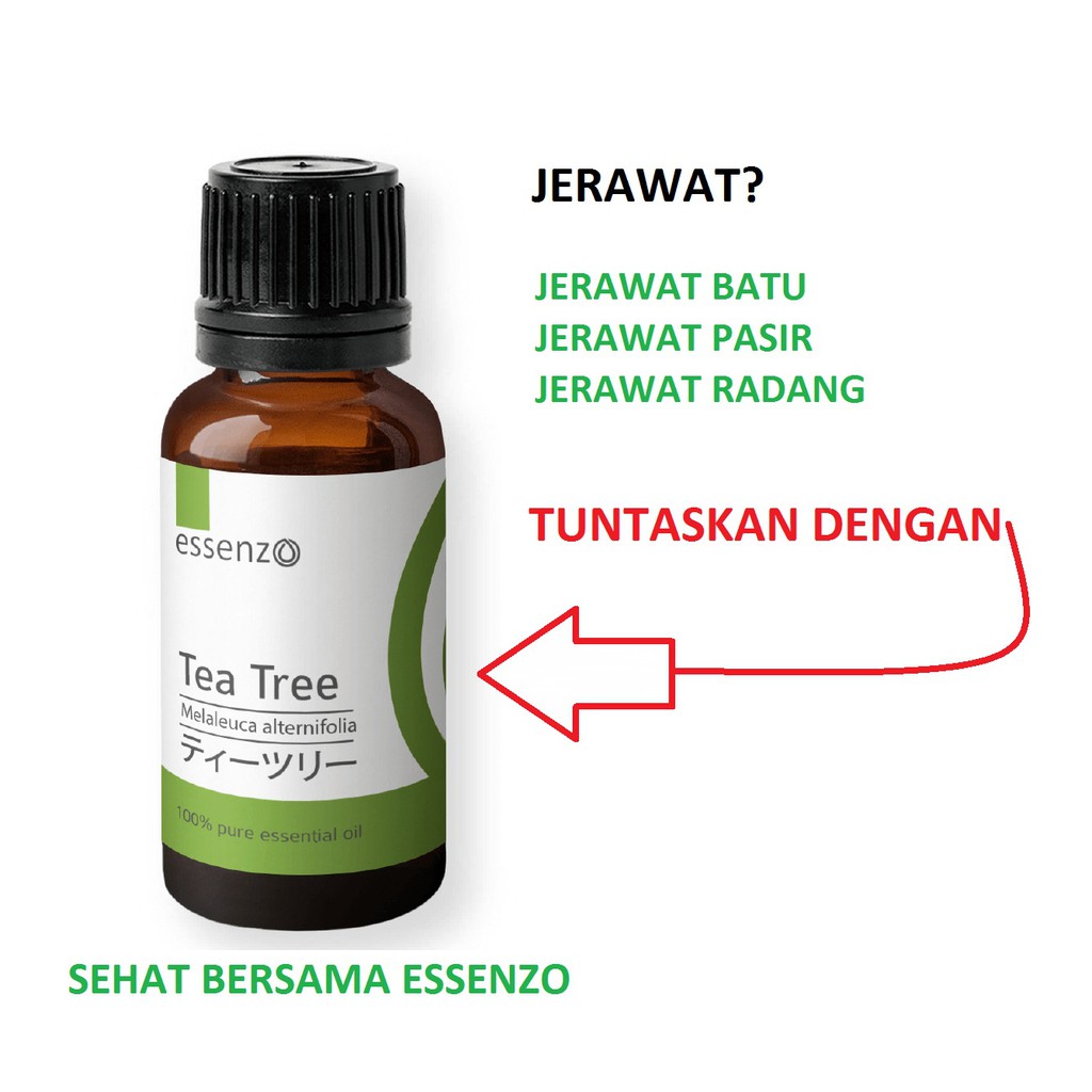 Jerawat Tea Tree Oil Essential Oil Terbaik Dari Essenzo 100 Alami 10 Ml Indonesia