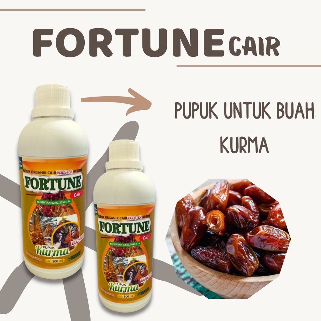 Pupuk Pohon Kurma, PUPUK FORTUNE CAIR UNTUK KURMA, Pupuk pelebat buah kurma