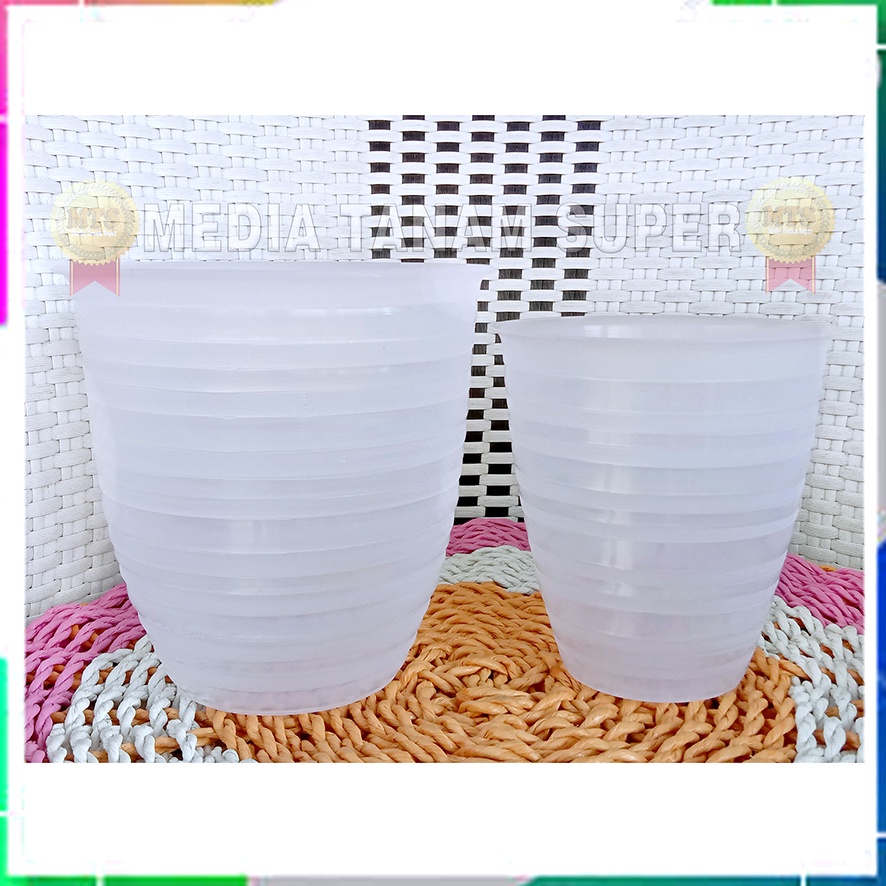 Pot Transparan Tinggi 151 & 121 Pot Bening Pot Pirus Tinggi