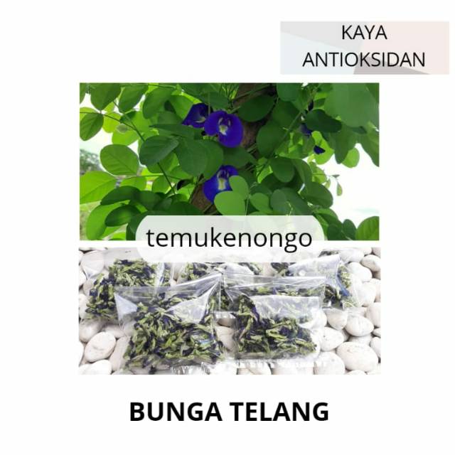 

BUNGA TELANG 10GRAM