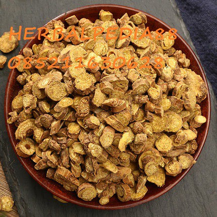 

Huang Qin 黄芩 Scutellaria baicalensis Georgi 600 gram
