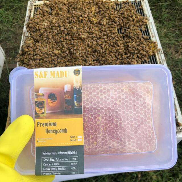 

Sarang madu premium mellifera SF madu 250 gram dan 500 gram