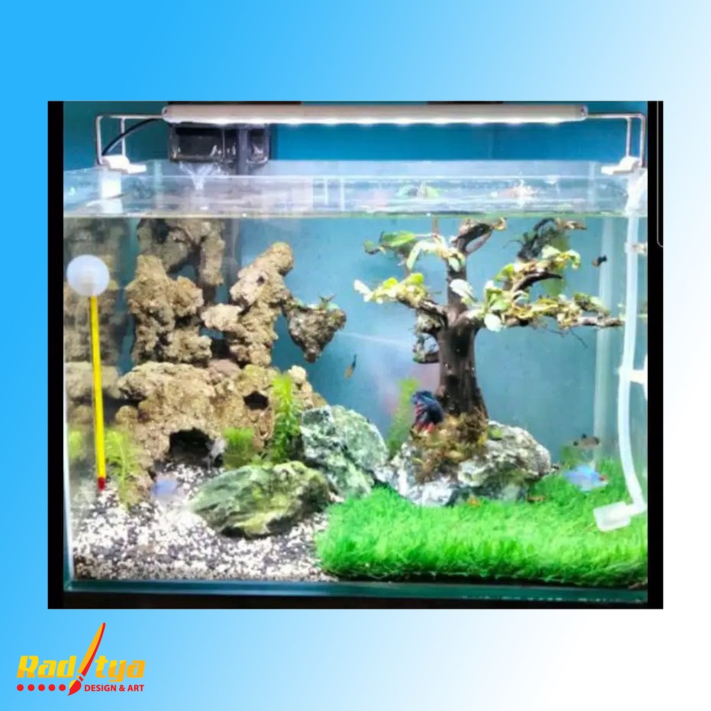 PROMO Rumput Sintetis Aquarium Tipe Swiss Stok Terbatas