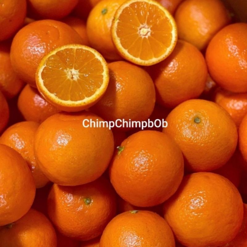 

JERUK MURCOT SEGAR MANIS 500 GRAM / SWEET MURCOT ORANGE 500 GRAM EACH