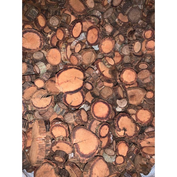 AKAR BAJAKAH 100%ASLI KALIMANTAN