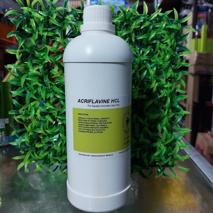 ACRIFLAVINE HCL 1 LITER OBAT KUNING ANTISEPTIK JAMUR IKAN HIAS