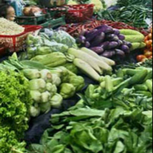 

sayur segar