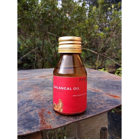 50 ml - minyak atsiri lengkuas - laos / galangal essential oil (Alpinia galanga)