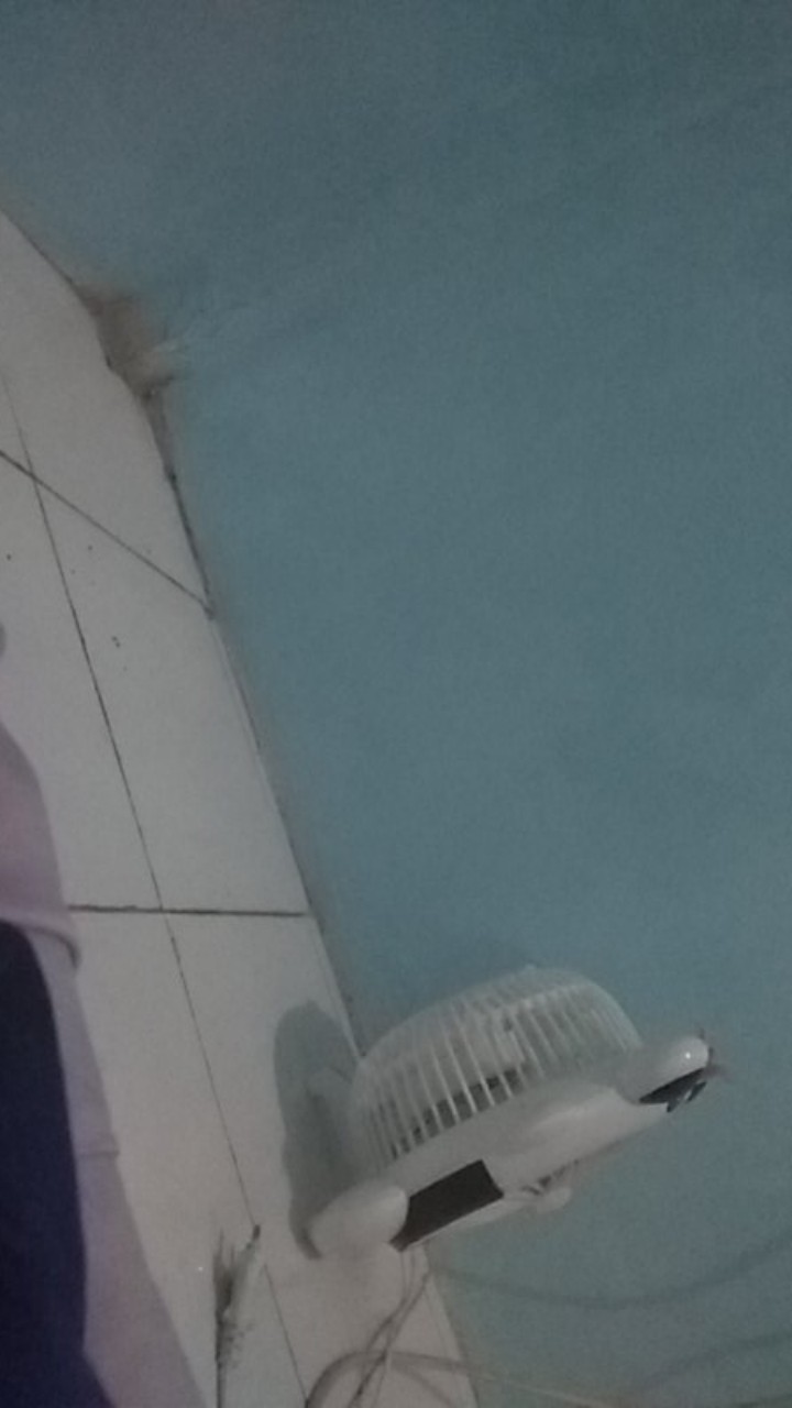 Thinwall Persegi Panjang(rectangle) 500ml/tempat Salad/box Nasi