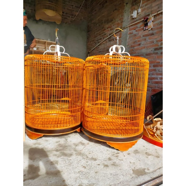 Sangkar murai batu ring 212