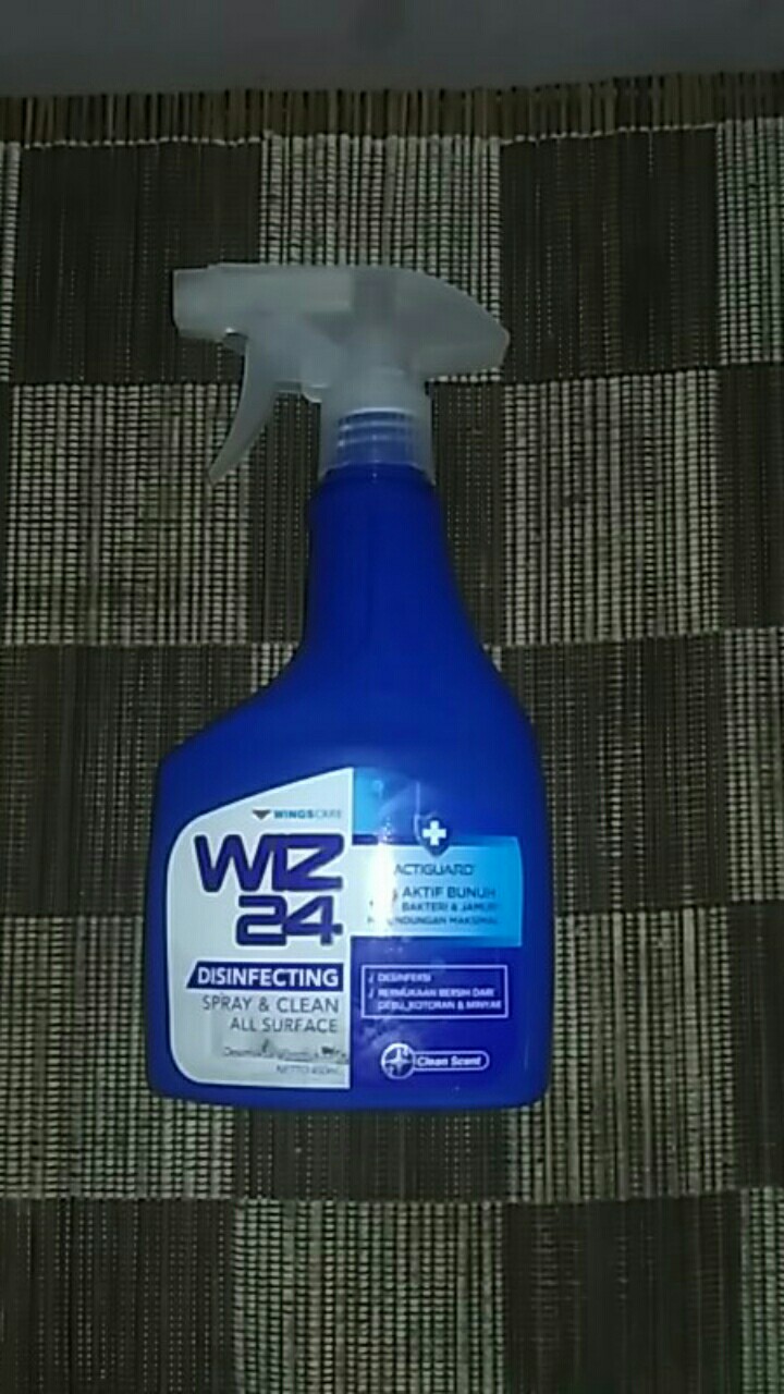 Wiz 24 Disinfectan Spray Btl 450 Ml