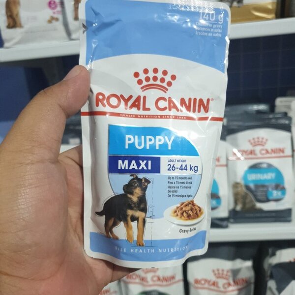 Royal Canin Maxi Puppy Pouch 140gr 140 gr Makanan Anjing Sachet Basah