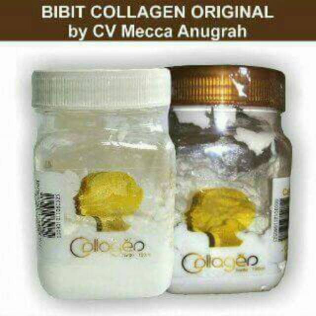 Bibit Collagen Cv Mecca Anugerah