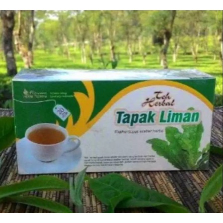 

TEH Obat herbal khasiat ampuh mengobatianti radang fungsi hati dan ginjal dengan teh tapak liman alami