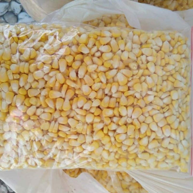 

Jagung Pipil Termurah