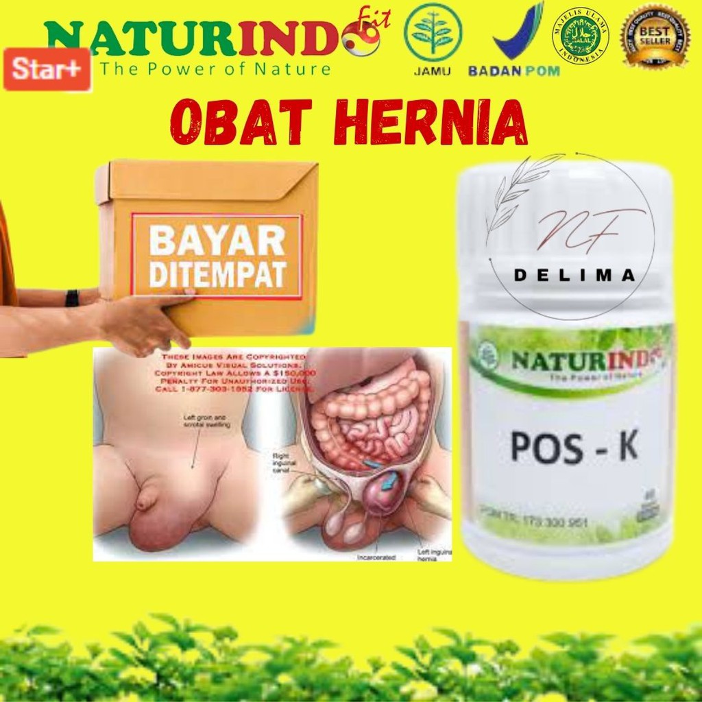 Obat Herbal Hernia Ketedun Turun Berok Tanpa Operasi Asli 100 Original Pos K Naturindo Ready Cod Shopee Indonesia