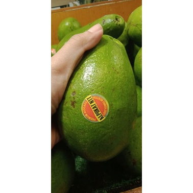 

Alpukat mentega NTT Super | legit kuning avocado 1 kg