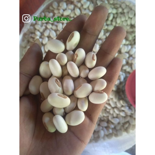 

biji kacang koro pedang(Canavalia_Ensivformis)per1kg