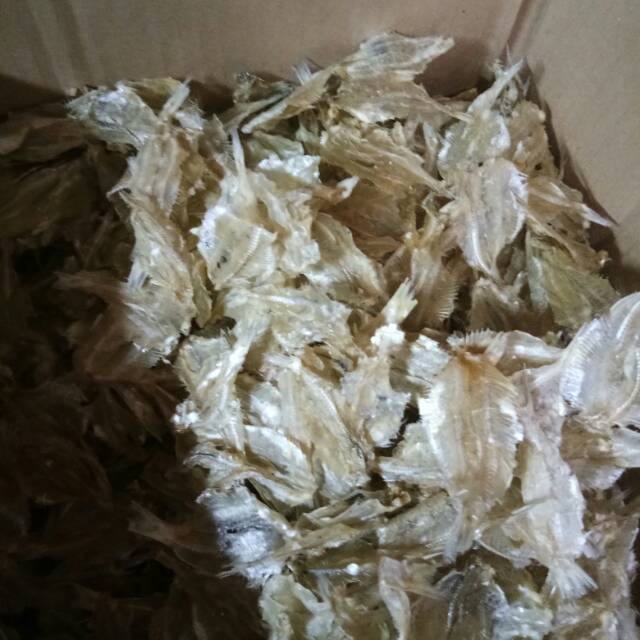 

Pakang Tawar/ikan kerupuk