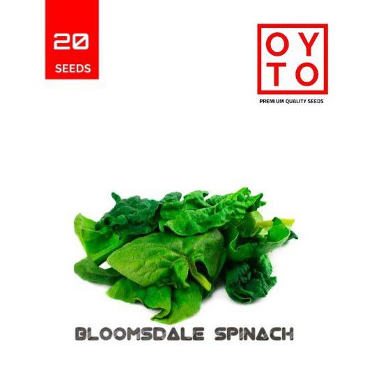 BENIH BAYAM BLOOMSDALE IMPORT BIBIT SAYURAN BENIH TANAMAN HIDROPONIK F1