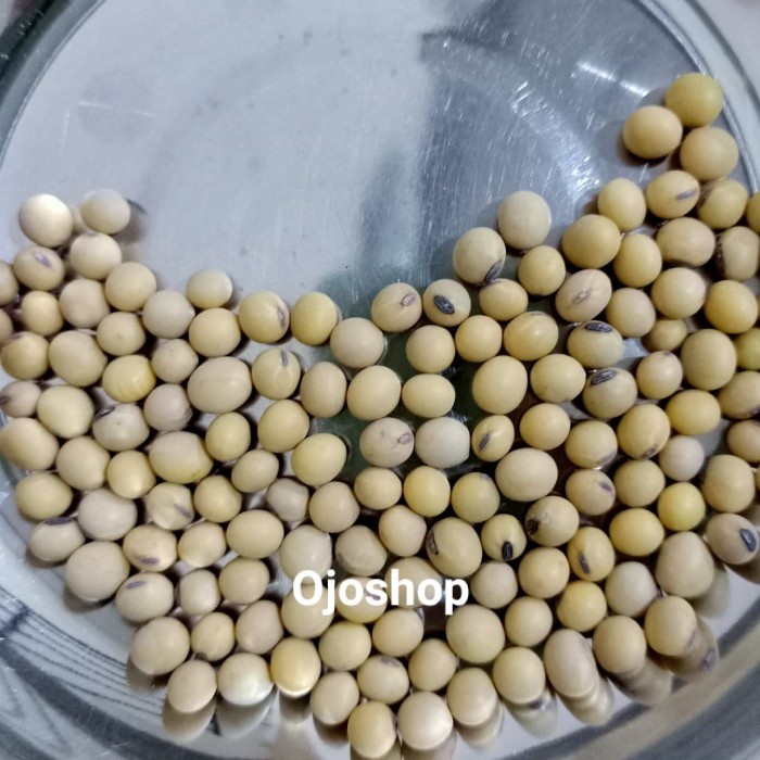 

101bfbb Kacang Kedelai Import Amerika,Harga Per 1 Kg Xa201As