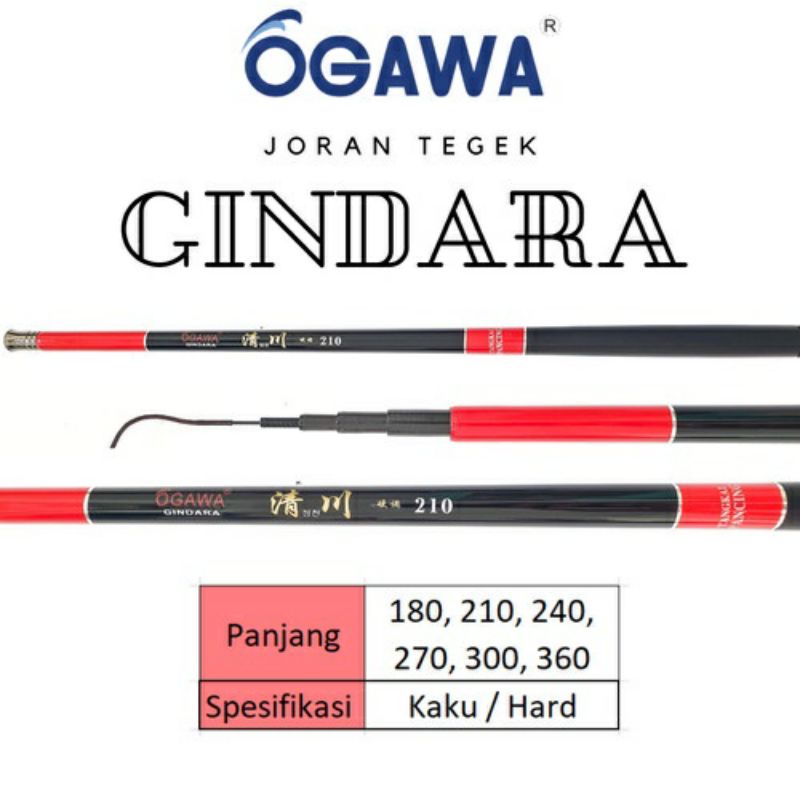 Joran Tegek Ogawa Gindara dan Angsa kaku ( Hard )