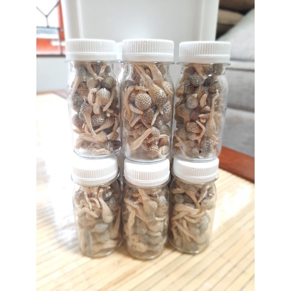 

Jamu Mpot